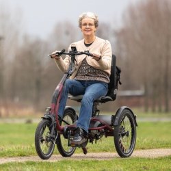 Tricycle Van Raam Easy Rider Compact - Confortable et maniable pour petits adultes et grands enfants