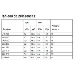 T12k Groupe électrogène industriel - SDMO - 400/230V - Coffret standard - Moteur Mitsubishi S3L2-SD