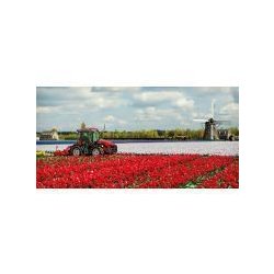 Srx 10900 r - tracteur agricole - antonio carraro - capacité 2400 kg