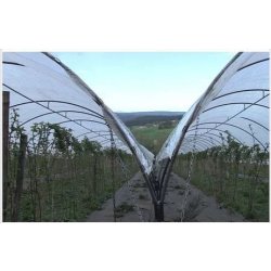 Serre tunnel professionnelle spécial fruits rouges - Largeur 6m - Serres Natural