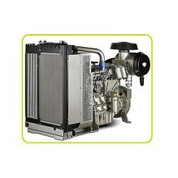 Groupe électrogène industriel 210kVA - GSW210P - Moteur Perkins - Alternateur Mecc Alte