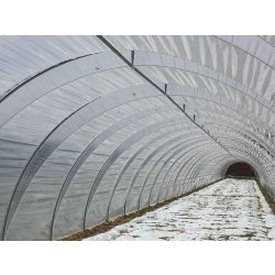 Serre tunnel  à travée unique - Montage et démontage rapides - conçue pour la Production horticole - Tunneleasy