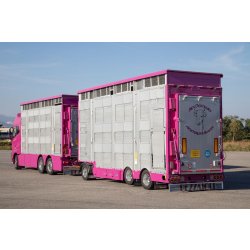 Rba31-sr - remorque bétaillère - carrozzeria pezzaioli - essieux jumelés fixes de 10000 kg