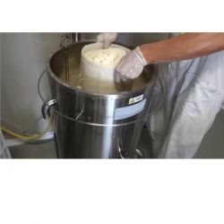 Cuve de pasteurisation / yaourtière - Capacité 45 litres - RÉF. DCX01-ET