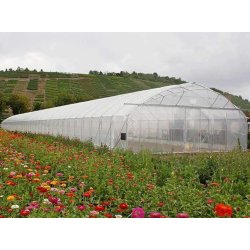 Serre à travée unique idéale pour la production horticole et le stockage de matériel agricole - Easyart