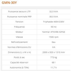 GMN-30Y - Groupe électrogène industriel Generac 32,5 kVA - Série GMN Euro, moteur norme IIIA