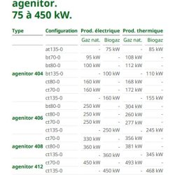 Agenitor - Groupe électrogène industriel 2G Energie SAS - 75 à 450 kW - Haut rendement et moteur à gaz optimisé