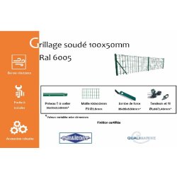 Grillage soudé maille 100x50mm Ral 6005 - 2000