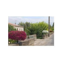Jardinière tige à fleur Petula - fleurissement urbain adapté - tiges 600 à 2600 mm - polyéthylène anti-UV