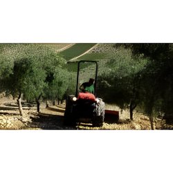 SRX 7800/9900 - Tracteur agricole Antonio Carraro - Réversible, 70/85 ch, capacité 2100/2400 kg