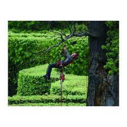 Élagueuse thermique 35 cm 2,04 ch – ECHO – chaîne n1c-bl – cs-362tes/35