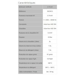 Steam box mini - nettoyeur vapeur professionnel - sas d2 concept - puissance max : 3.75 kw - 3023012