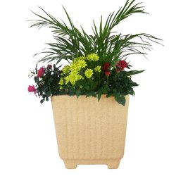 BAC CARRE EPISCIA DOUBLE PAROI AVEC RESERVE D EAU
