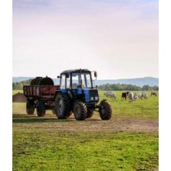 Cuve de transport eau : 2000 litres - grise - 308794