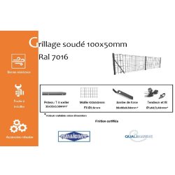 Grillage soudé maille 100x50mm Ral 7016 - 1000