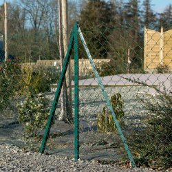 Grillage rouleau simple torsion vert - 20m - Hauteur 1m20 - Maille 50x50mm - Acier galvanisé plastifié