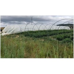 Serre tunnel pour maraichers - Largeur 4m50 - Hauteur 2,60m - Natural
