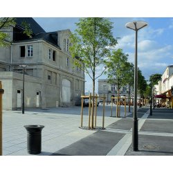 Mât d'éclairage public cylindrique bi-section ambiance / en aluminium