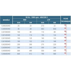 CU Groupes électrogènes industriels - Ausonia - moteur Cummins de 25 à 640 KVA
