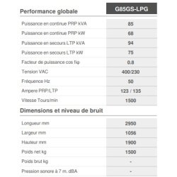 Queen-gas G85GS-LPG - Groupe électrogène industriel capoté insonorisé Genmac - Puissance continue PRP 68 kW