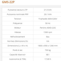 GMS-22P - Groupe électrogène industriel Generac - 21,5 kVA - Série GMS Standard