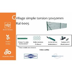 Grillage simple torsion maille 50x50mm Ral 6005 - 1200