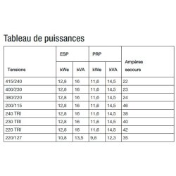 T16k groupes électrogènes industriel - sdmo - tension de référence (v)	400/230