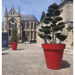 Jardinière Rond Déco - 100 % recyclable - Résistant aux UV - 21 couleurs disponibles - Polyéthylène rotomoulé