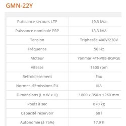 GMN-22Y Groupe électrogène industriel - Generac - 19,3 kVA - Moteur diesel conforme normes IIIA européennes