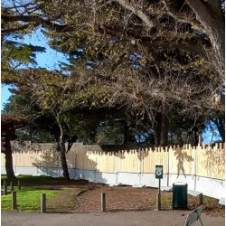 Palissade en bois vertical conçue pour les professionnels du bâtiment, des travaux publics, des collectivités