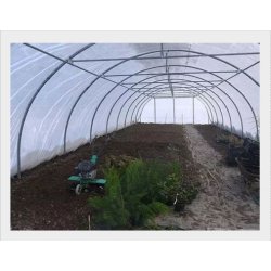 Serre tunnel maraîchère professionnelle à bâche enterrée - Longueur 6 m - TMC60010