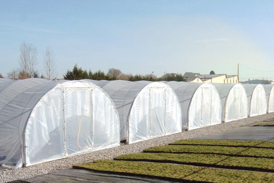 Serre tunnel à pied droit destinée aux horticulteurs et pépiniéristes - Longueur 6m - Val de Loire Pro 4 m_2