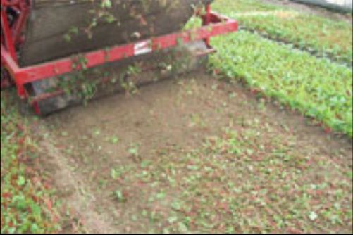 Récolteuse automotrice ARR - Autran & Mab - Largeur de travail de 1 à 1,60 m, adaptée aux résidus de culture_2