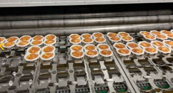 Tunnel de dorage et de gratinage infrarouge - pour l'industrie agro-alimentaire_2