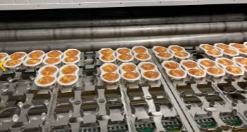 Tunnel de dorage et de gratinage infrarouge - pour l'industrie agro-alimentaire_2