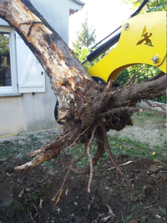 Doigt de manutention pour de petit travaux manutention, déplacement de débris - hh0_2