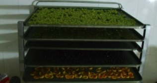 TK-40 - Four pour séchage avec plateaux - capacité 320 kg à 800 kg - 24 heures_2