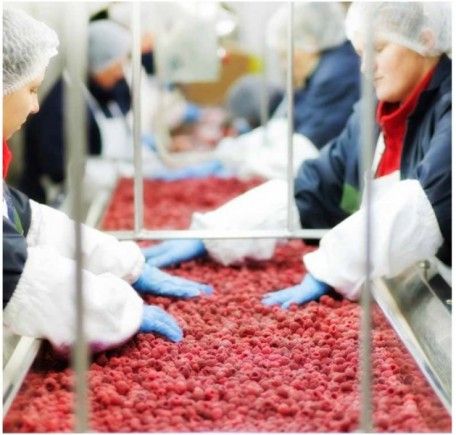 TM 160 - Tambours moteurs Powertrans - Vitesse 0.13ms à 3.3ms - Étanchéité IP66/IP68 - Moteur bi-vitesse Dahlander_2