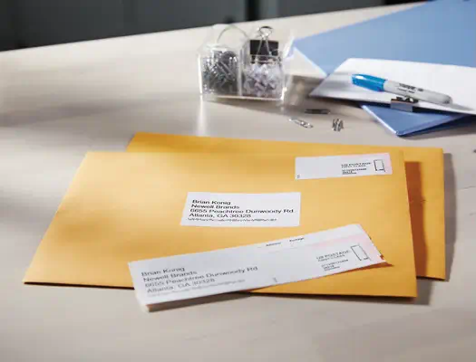 LW - àÉtiquettes d'adresse standard - 28 x 89 mm - S0722370_2