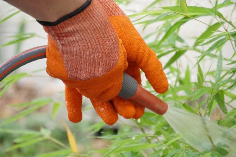 Gants de plantation homme - ROSTAING Visible, taille 10 - Étanches paume et doigts, orange_2