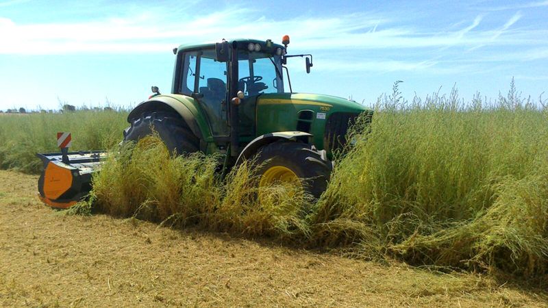 Broyeur forestier TJG - TMC Cancela - largeur de travail 320-400 cm - puissance mécanique 145-250 HP_2