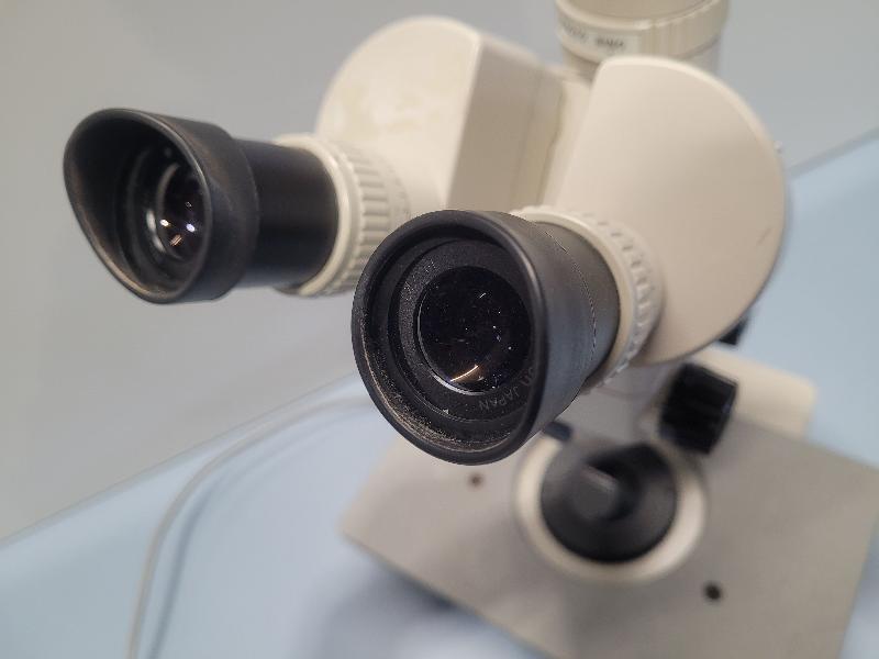 Stéréomicroscope NIKON SMZ-2T avec oculaires Nikon 10X / 21