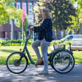 Tricycle Maxi Van Raam - Tricycle Individuel avec Options Personnalisables_2