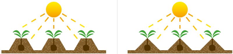 Vibro-butteuse agricole avec coffre - SPEDO f.lli srl - modèles VB2F/75 à VB4F/90_2