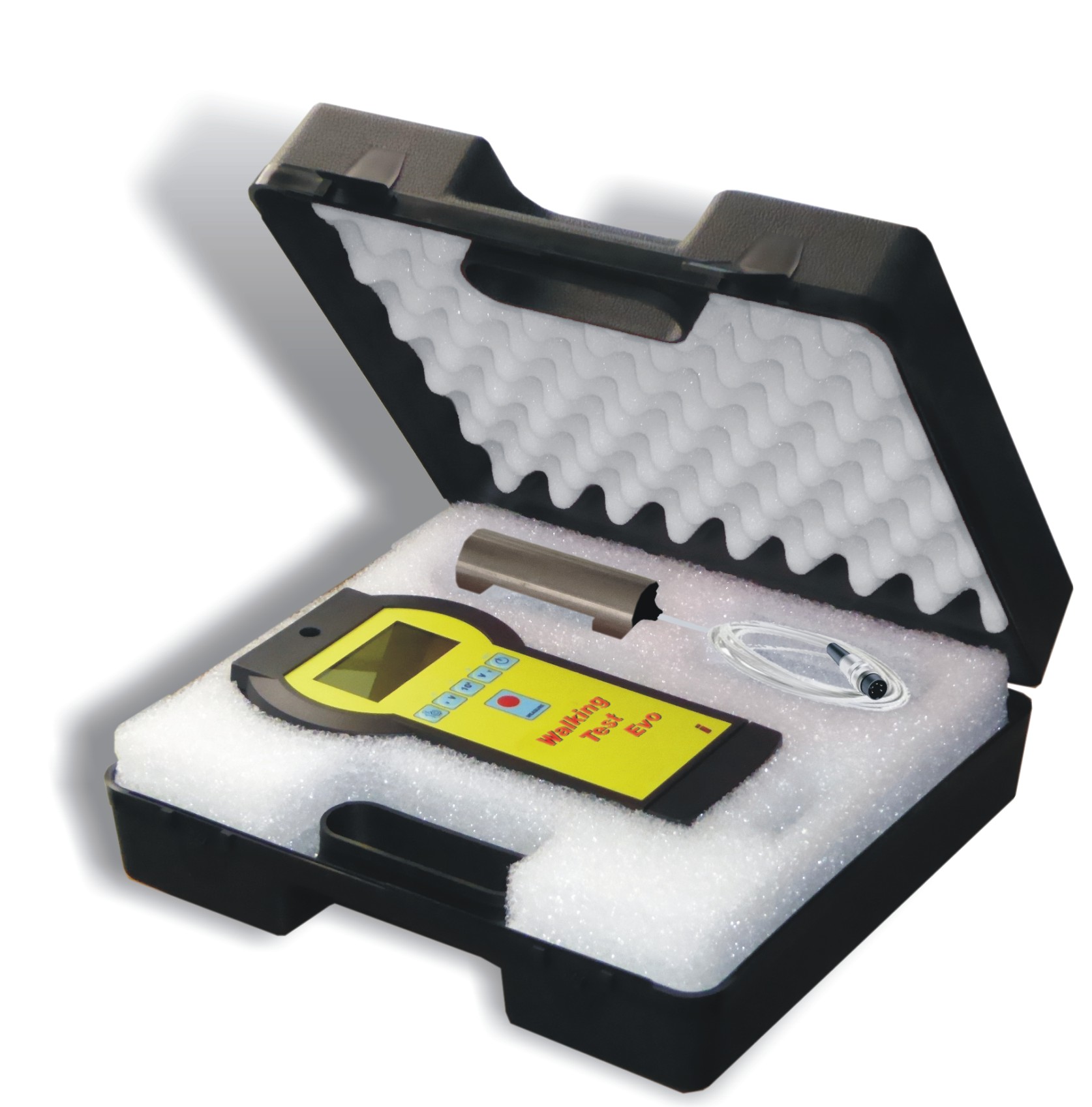 Test du marcheur - iteco walking test evo_2