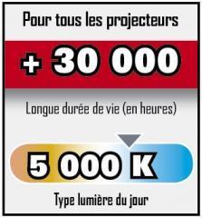 Projecteur solaire avec détecteur de mouvement - 306576_2