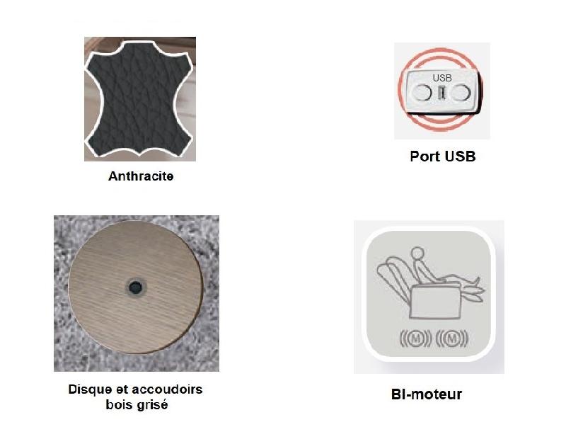Fauteuil électrique bi-moteur Faucon avec accoudoirs en eucalyptus et design contemporain