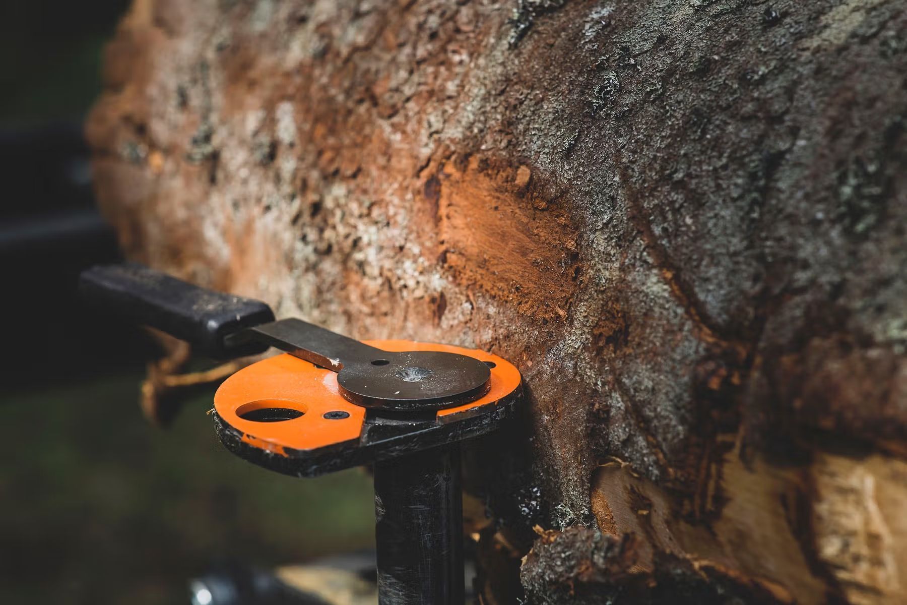 Scieries à ruban B751 Pro CutSet (Manuelle) thermique ou éléctrique - LOGOSOL_2