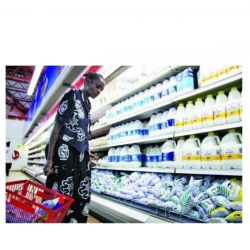 Ensacheuse de produits liquides et visqueux - Vitesse 3000 sachets/heure - RÉF. NHP03-ET_2