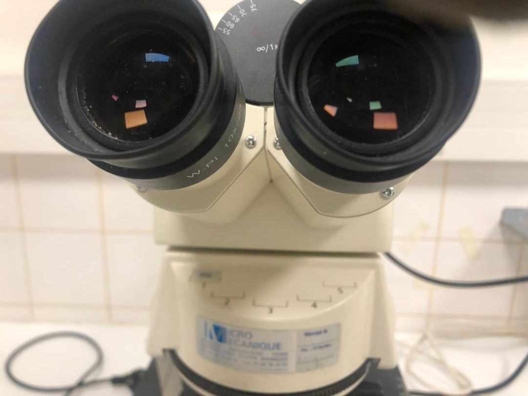 Microscope à immersion d'occasion de laboratoire médical - Axioskop 40 Carl Zeiss - configuration complète avec 4 lentilles_2